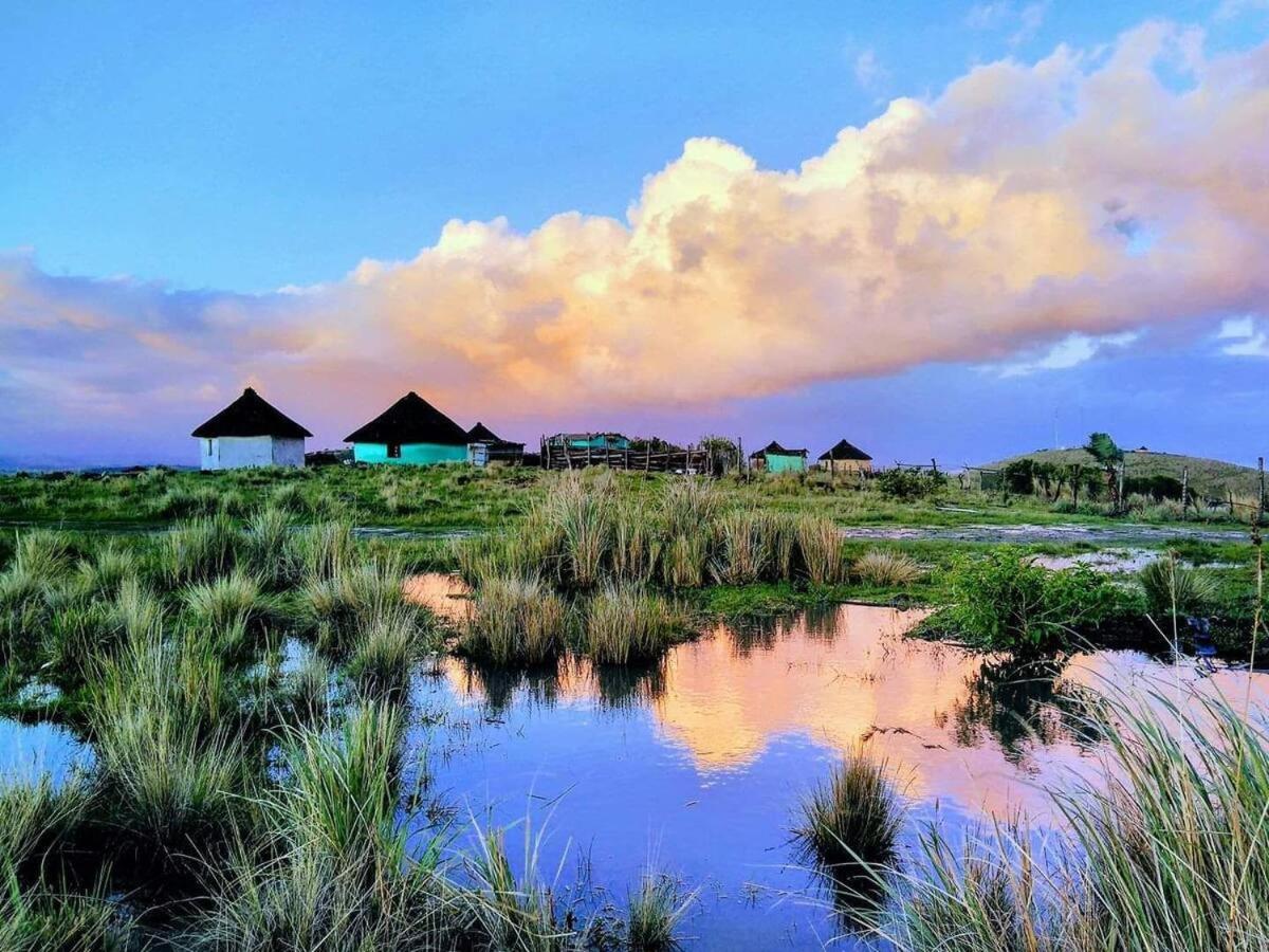 Raptors View Coffee Bay Ngoại thất bức ảnh