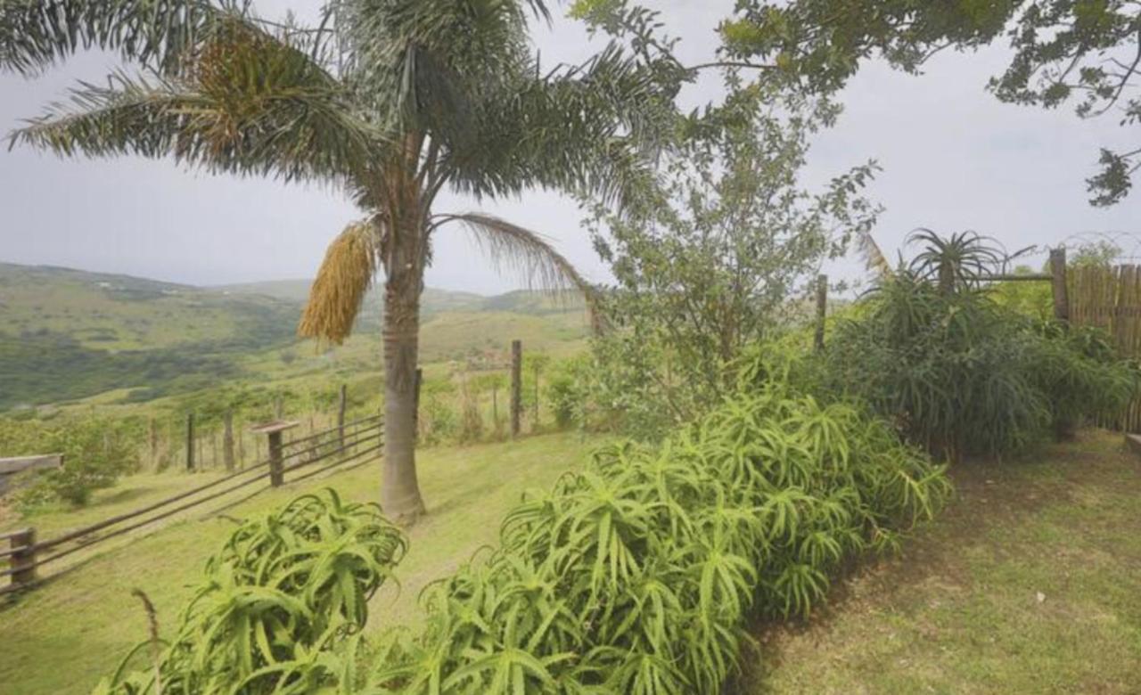Raptors View Coffee Bay Ngoại thất bức ảnh